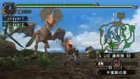 Monster Hunter 2nd edition